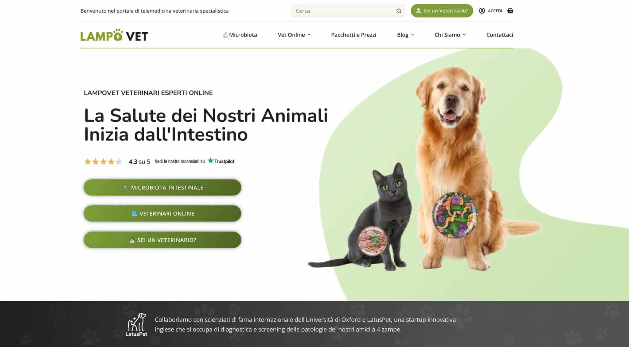Lampovet website